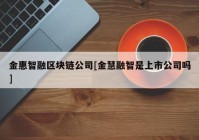 金惠智融区块链公司[金慧融智是上市公司吗]
